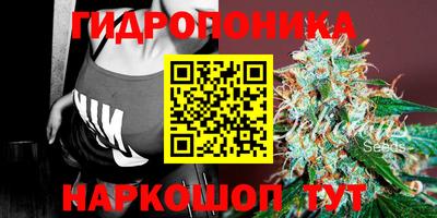 молекула духа Краснокаменск