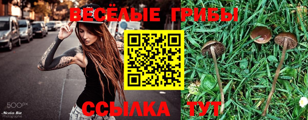 Кинель  Псилоцибиновые грибы мицелий  Галлюциногенные грибы GOLDEN TEACHER  Вход с VPN 