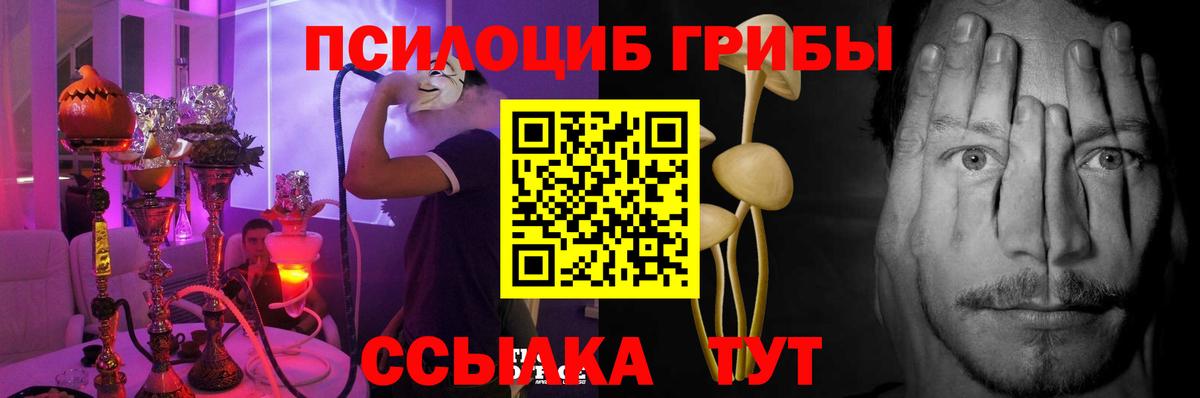 Галлюциногенные грибы Cubensis Кинель